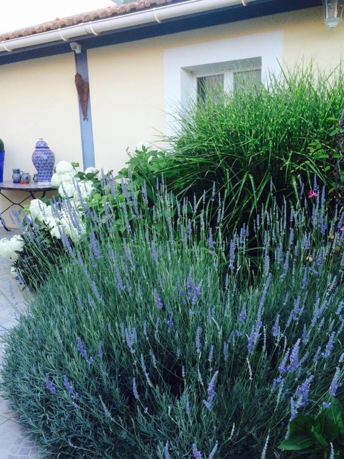 La Maison De Lilly Arcachon Luaran gambar